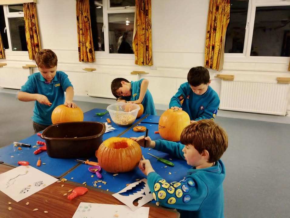 Stotfold Scout Group